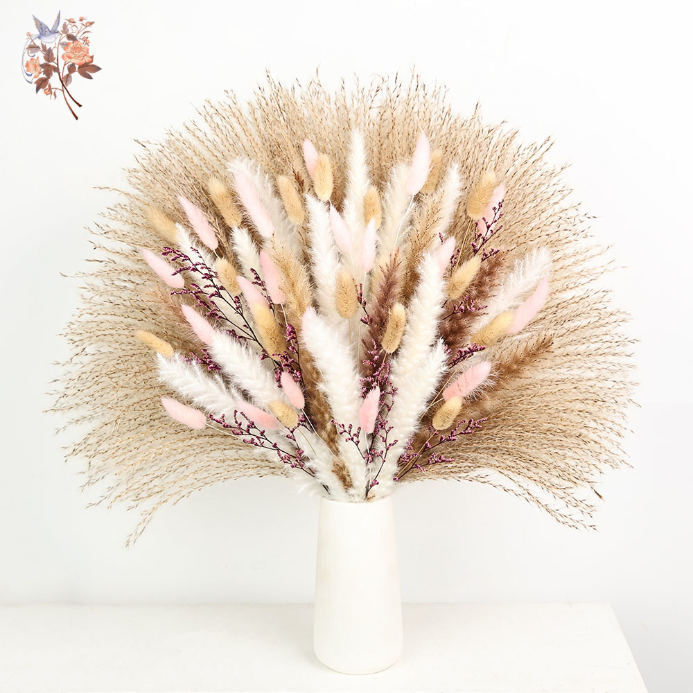 Dried Pampas Bundle - Mechones de colas de conejo Pampas