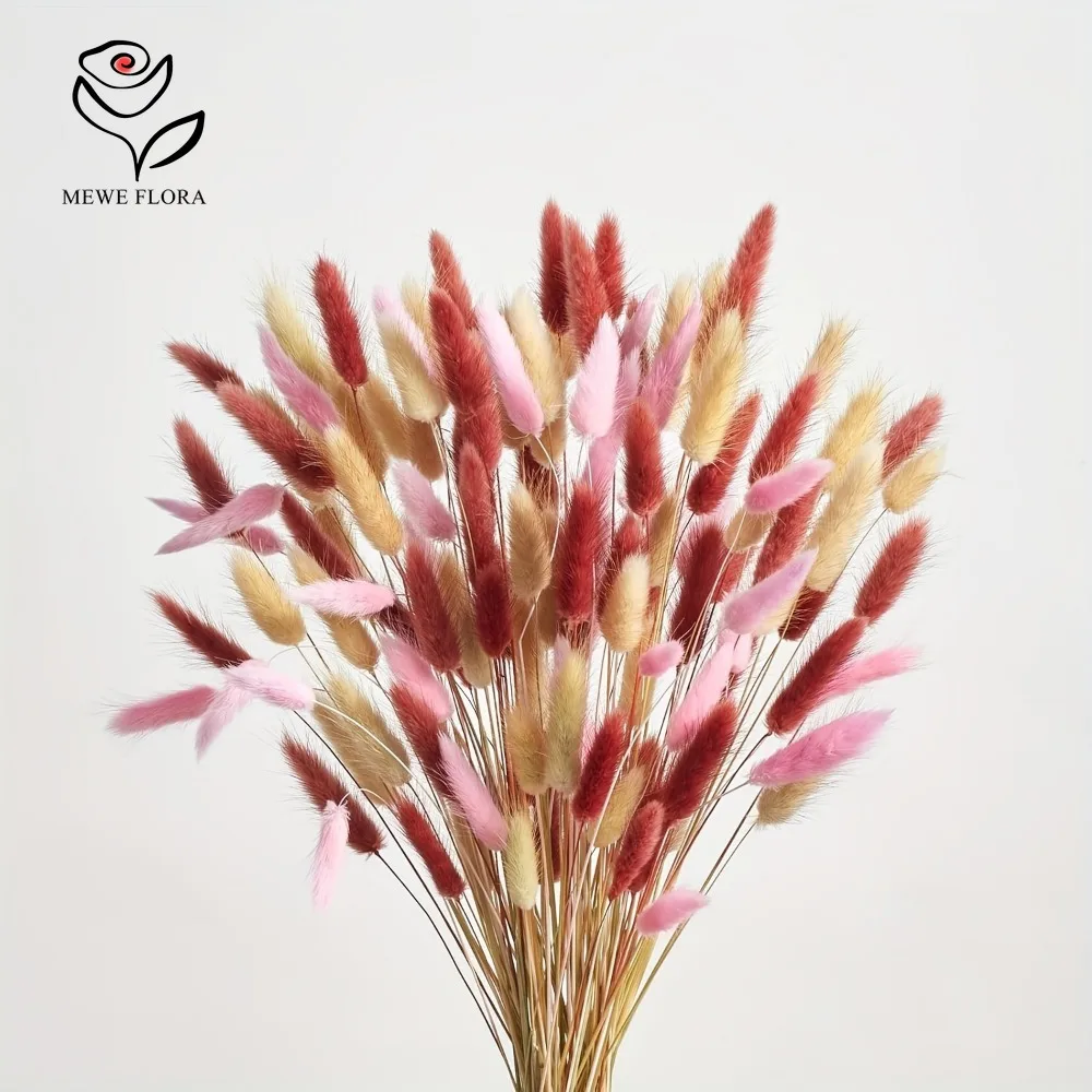Dried Pampas Bundle - 90 Uds. Mezcla de 3 colores