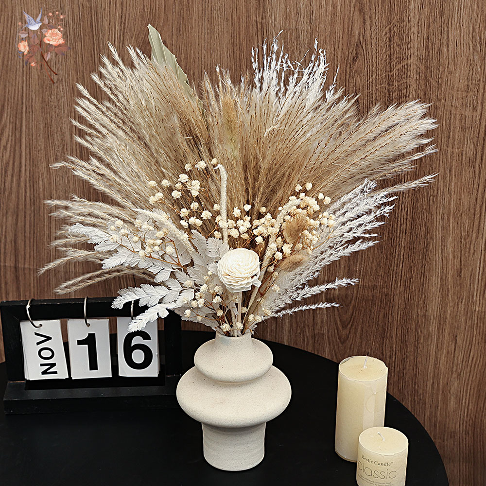 Paquete de 40 piezas de cañas  - Dried Pampas Bundle reseña y precio