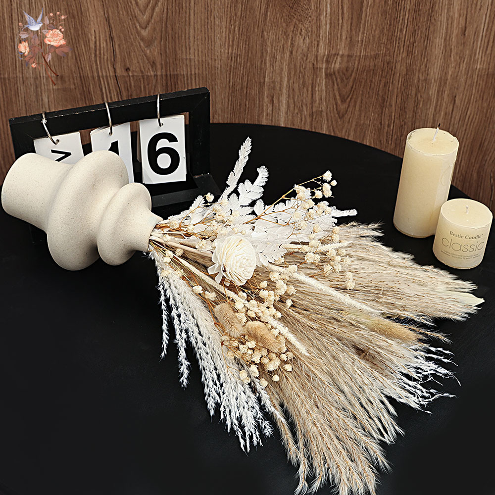 Paquete de 40 piezas de cañas  - Dried Pampas Bundle reseña y precio
