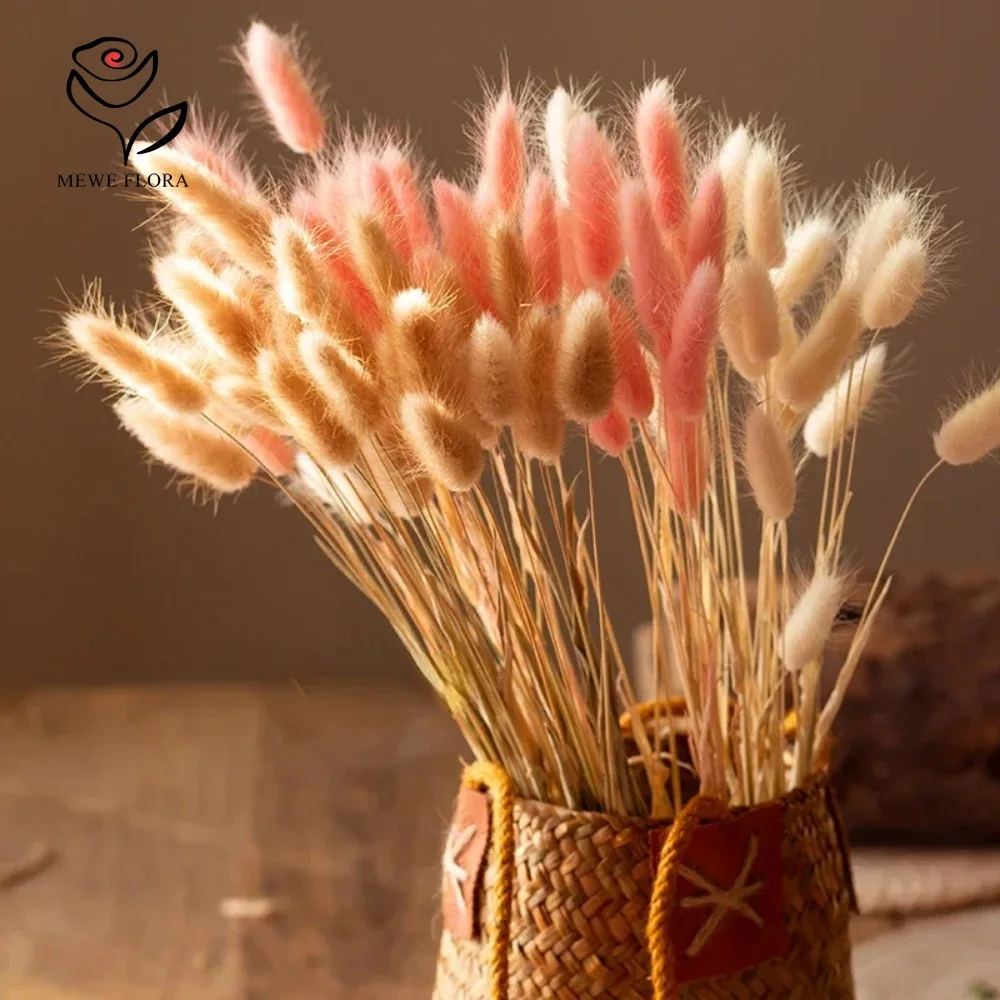 90 Uds. Mezcla de 3 colores co - Dried Pampas Bundle reseña y precio