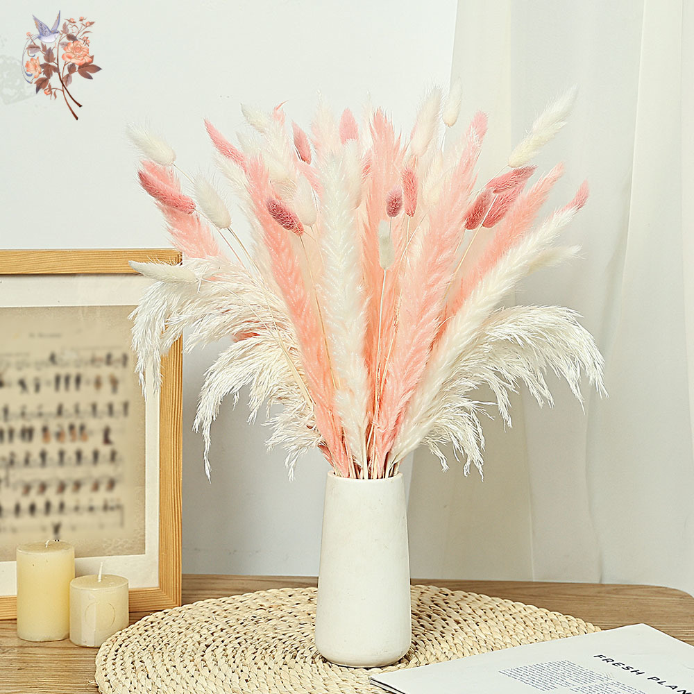 62 piezas de cañas blancas, co - Dried Pampas Bundle reseña y precio