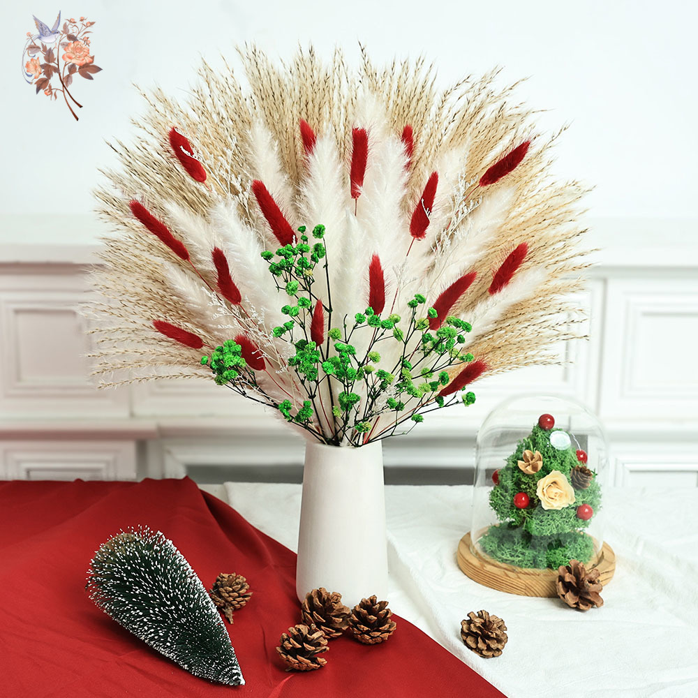 Ramo de flores secas para inte - Dried Pampas Bundle reseña y precio