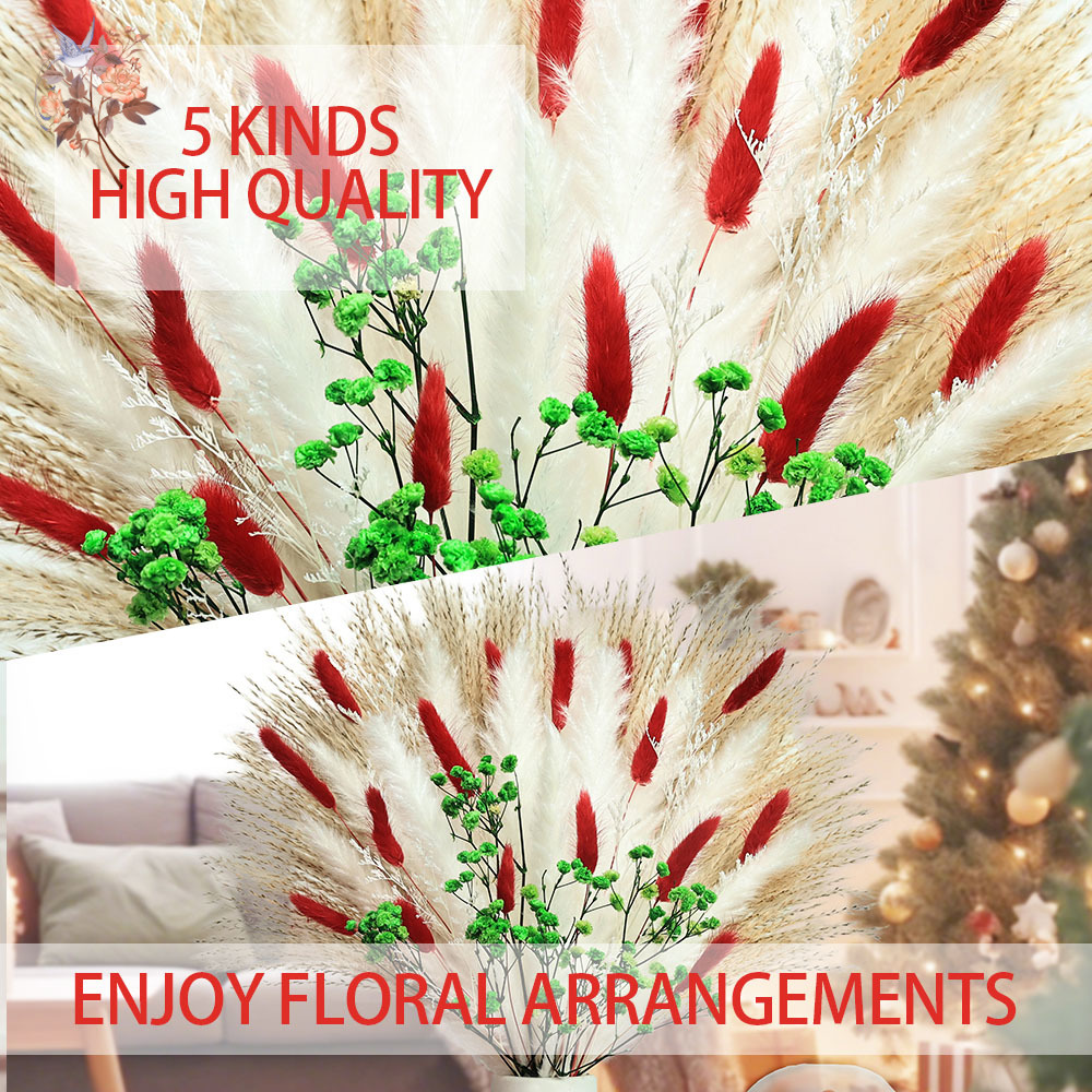 Ramo de flores secas para inte - Dried Pampas Bundle reseña y precio