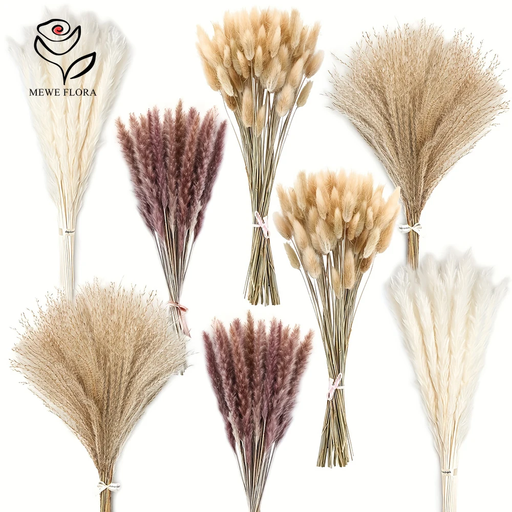 200 Uds. De colas de conejo de - Dried Pampas Bundle reseña y precio