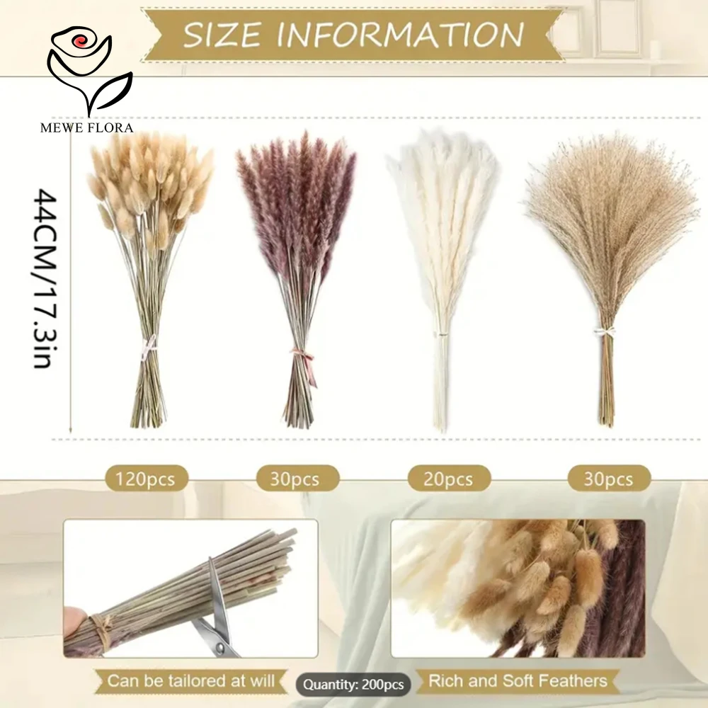 200 Uds. De colas de conejo de - Dried Pampas Bundle reseña y precio